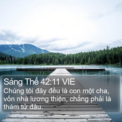Sáng Thế 42:11 VIE Bible Verse Image