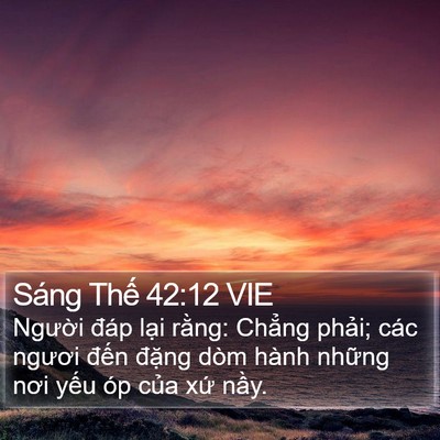 Sáng Thế 42:12 VIE Bible Verse Image