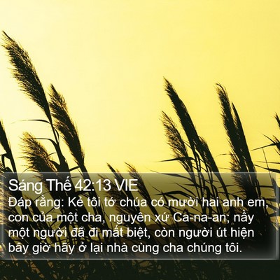 Sáng Thế 42:13 VIE Bible Verse Image