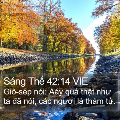 Sáng Thế 42:14 VIE Bible Verse Image
