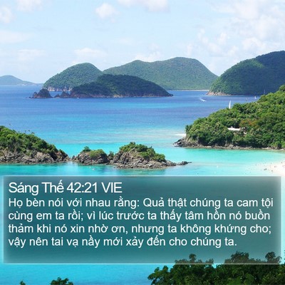 Sáng Thế 42:21 VIE Bible Verse Image
