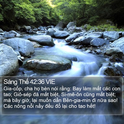 Sáng Thế 42:36 VIE Bible Verse Image