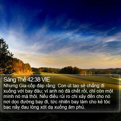 Sáng Thế 42:38 VIE Bible Verse Image