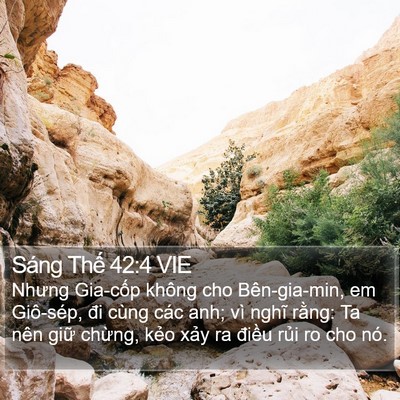 Sáng Thế 42:4 VIE Bible Verse Image