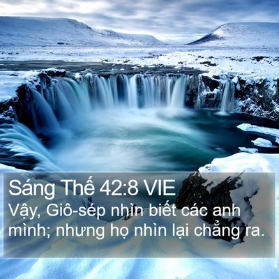 Sáng Thế 42:8 VIE Bible Verse Image