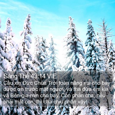 Sáng Thế 43:14 VIE Bible Verse Image