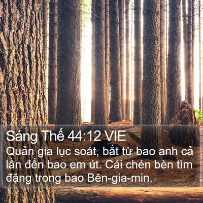 Sáng Thế 44:12 VIE Bible Verse Image