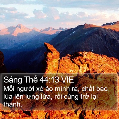 Sáng Thế 44:13 VIE Bible Verse Image