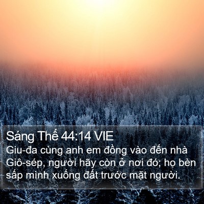 Sáng Thế 44:14 VIE Bible Verse Image