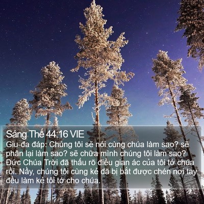 Sáng Thế 44:16 VIE Bible Verse Image