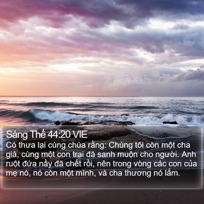Sáng Thế 44:20 VIE Bible Verse Image