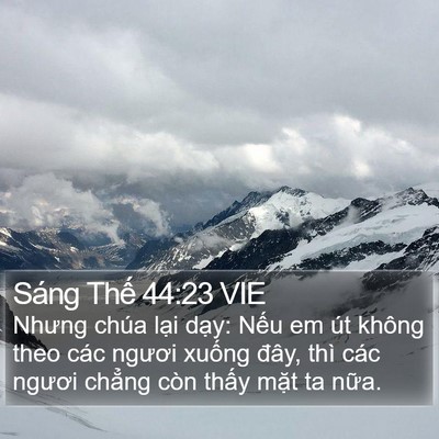 Sáng Thế 44:23 VIE Bible Verse Image