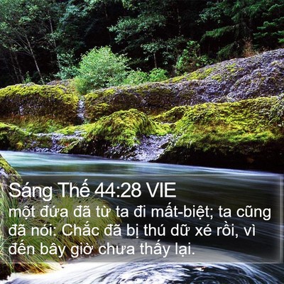 Sáng Thế 44:28 VIE Bible Verse Image