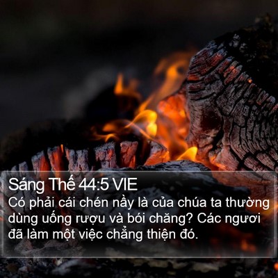 Sáng Thế 44:5 VIE Bible Verse Image