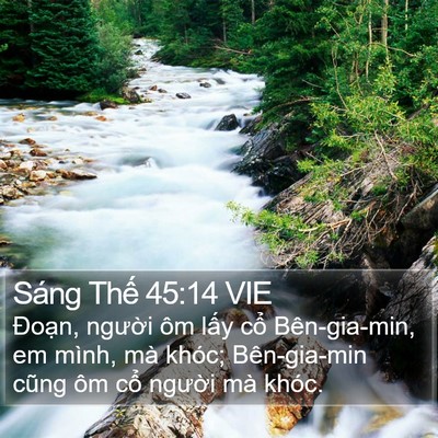 Sáng Thế 45:14 VIE Bible Verse Image