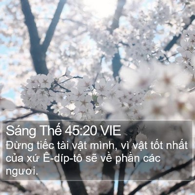Sáng Thế 45:20 VIE Bible Verse Image