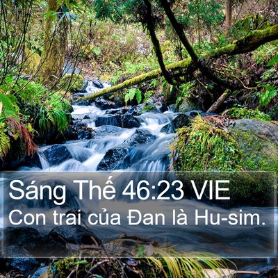 Sáng Thế 46:23 VIE Bible Verse Image