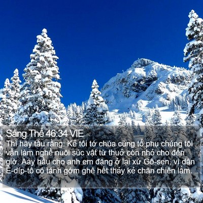 Sáng Thế 46:34 VIE Bible Verse Image