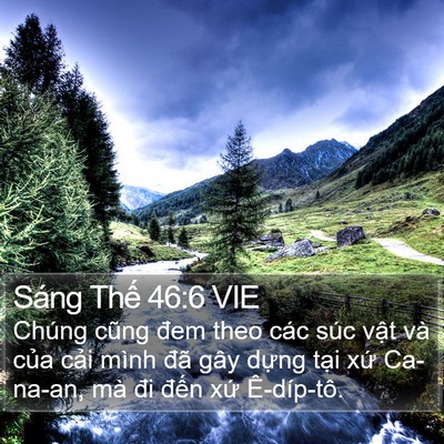 Sáng Thế 46:6 VIE Bible Verse Image