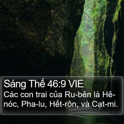 Sáng Thế 46:9 VIE Bible Verse Image