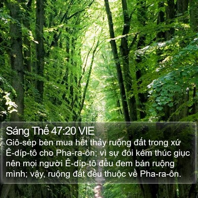 Sáng Thế 47:20 VIE Bible Verse Image