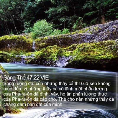 Sáng Thế 47:22 VIE Bible Verse Image