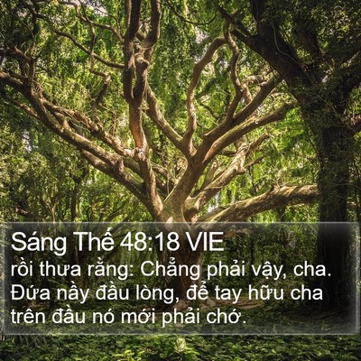 Sáng Thế 48:18 VIE Bible Verse Image
