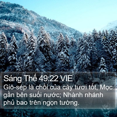 Sáng Thế 49:22 VIE Bible Verse Image