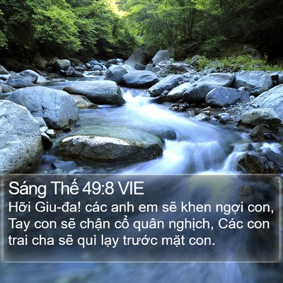 Sáng Thế 49:8 VIE Bible Verse Image