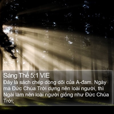 Sáng Thế 5:1 VIE Bible Verse Image