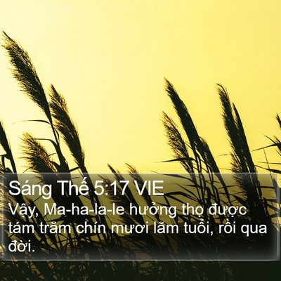 Sáng Thế 5:17 VIE Bible Verse Image