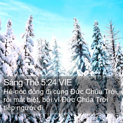 Sáng Thế 5:24 VIE Bible Verse Image