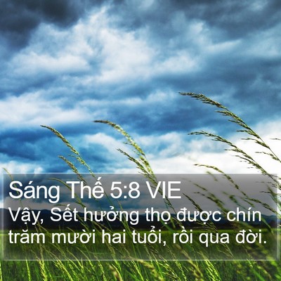 Sáng Thế 5:8 VIE Bible Verse Image