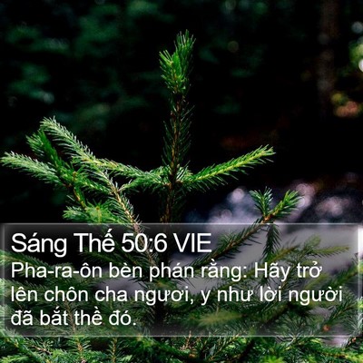 Sáng Thế 50:6 VIE Bible Verse Image