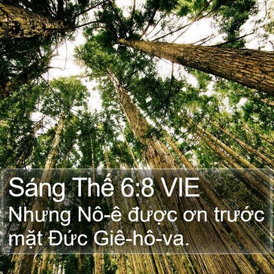 Sáng Thế 6:8 VIE Bible Verse Image