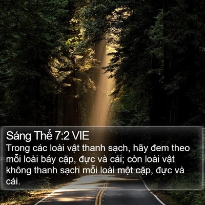Sáng Thế 7:2 VIE Bible Verse Image