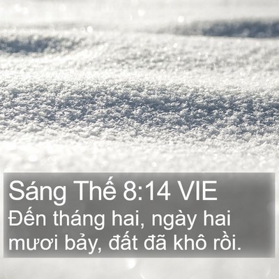 Sáng Thế 8:14 VIE Bible Verse Image