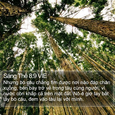 Sáng Thế 8:9 VIE Bible Verse Image