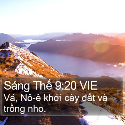 Sáng Thế 9:20 VIE Bible Verse Image