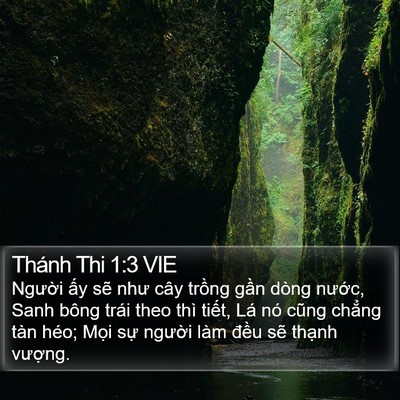 Thánh Thi 1:3 VIE Bible Verse Image