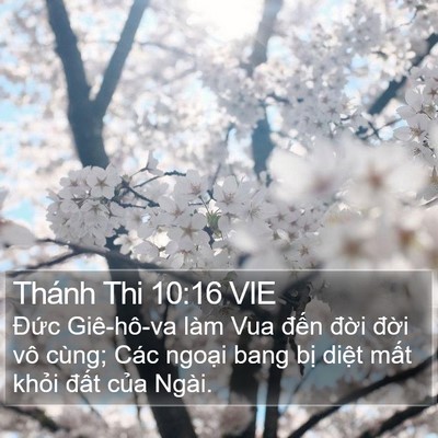 Thánh Thi 10:16 VIE Bible Verse Image