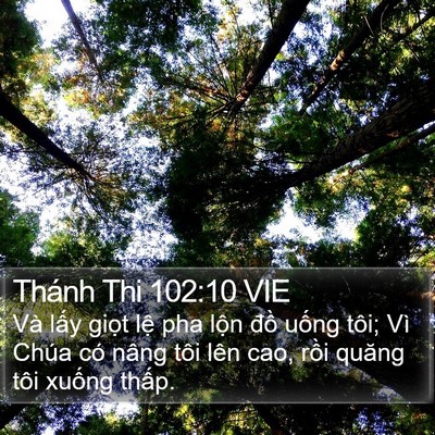 Thánh Thi 102:10 VIE Bible Verse Image