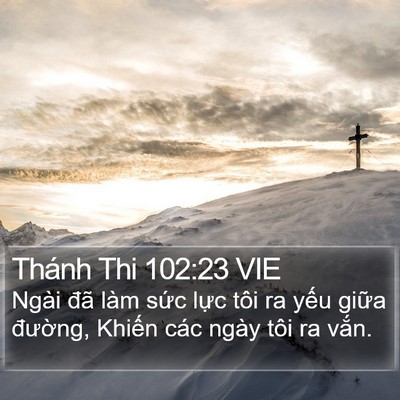 Thánh Thi 102:23 VIE Bible Verse Image