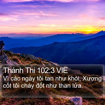 Thánh Thi 102:3 VIE Bible Verse Image