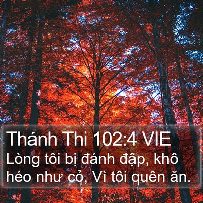 Thánh Thi 102:4 VIE Bible Verse Image