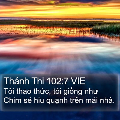 Thánh Thi 102:7 VIE Bible Verse Image