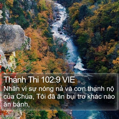 Thánh Thi 102:9 VIE Bible Verse Image