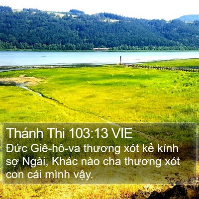 Thánh Thi 103:13 VIE Bible Verse Image
