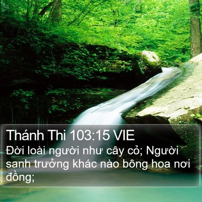 Thánh Thi 103:15 VIE Bible Verse Image