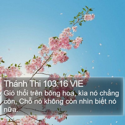 Thánh Thi 103:16 VIE Bible Verse Image